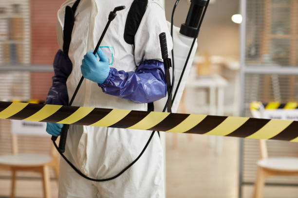 Professional Hoarding Cleanup technician working in Warrington, FL